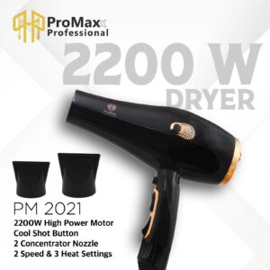 promaxx professional pm 2021 high power hair dryer – 2200w